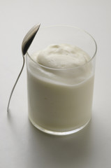 Yogurt