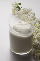 Yogurt