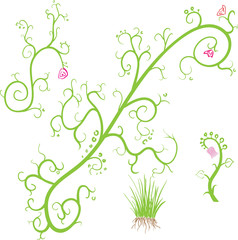 Abstract flora elements