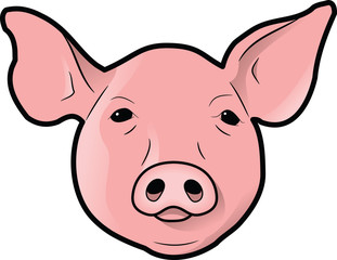 Obraz na płótnie Canvas An isolated pig's head