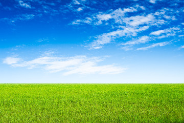 Obraz premium blue sky and green grass scene