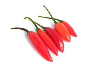 Red chilies group, on white background