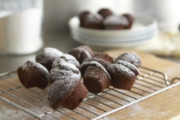 Freshly baked chocolate cupcakes