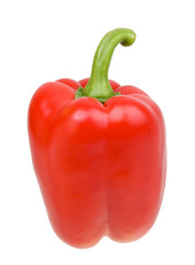 Red pepper isolated over white