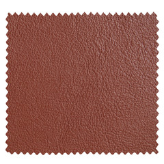 Leather sample