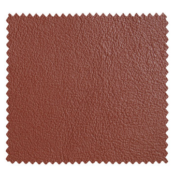 Leather Sample