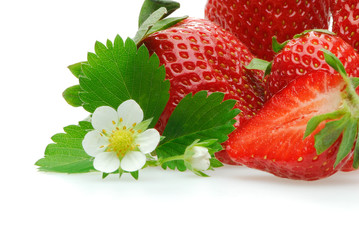 Erdbeeren 109