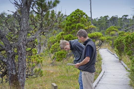 Father and Son on Boardwalk studying Plants in a Bog