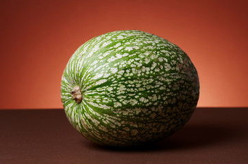 Studio shot of pumpkins