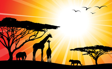 Africa / safari - silhouettes