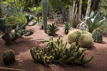 The Majorelle garden