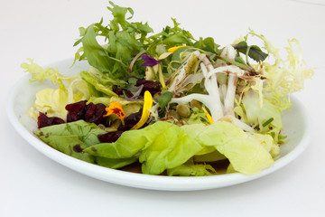 salad of Frisee and Bibb lettuce; Radishes; Spring Onions, and t