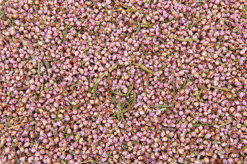 fond de fleurs de bruyère, plante médicinale