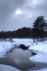 Dark winter landscape