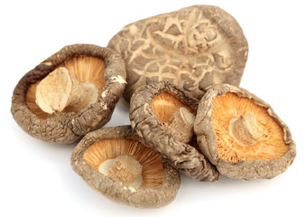 champignons chinois tonkou séchés