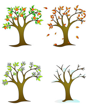 Four seasons &ndash; colorfull trees