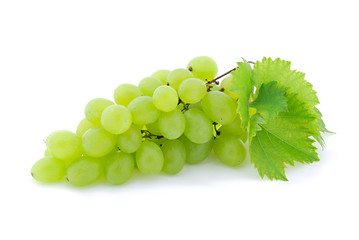 Obraz premium Bunch of Green Grapes laying