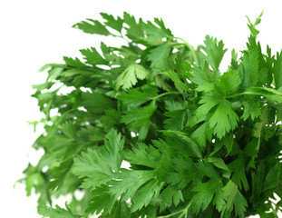 bouquet de persil, plante condimentaire