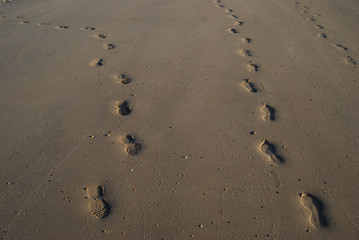 footprints in the sand
