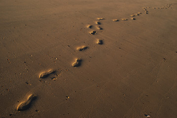 footprints in the sand