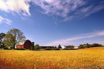 Naklejka premium Farm Landscape