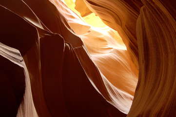 Patterns in Nature 16