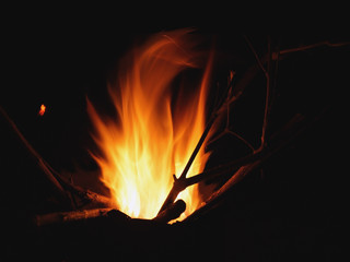 Wood Burning