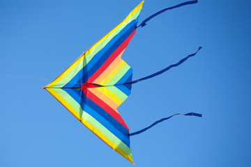 Kite