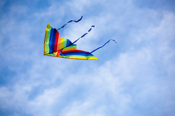 Kite