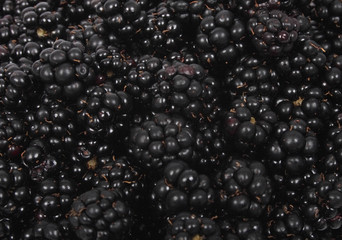 blackberries