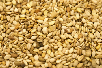 Sesame Seeds