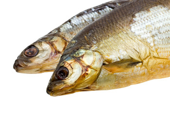 Close-up dried fish isolated on white