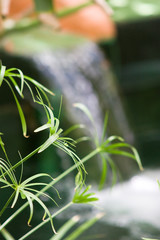 Obraz premium jardin à Marrrakech