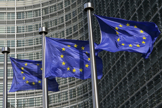 European flags in Brussels