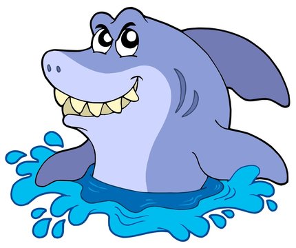 Cartoon shark in water