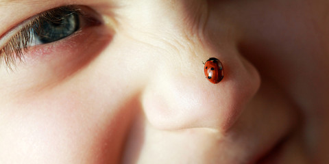 Fun © Mykola Velychko