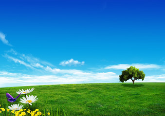 Jolie prairie