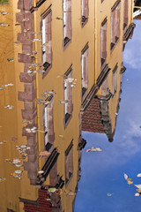 Mirroring in the water