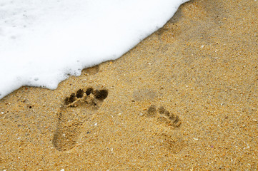 Footprints on water edge