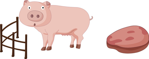 pig and pork