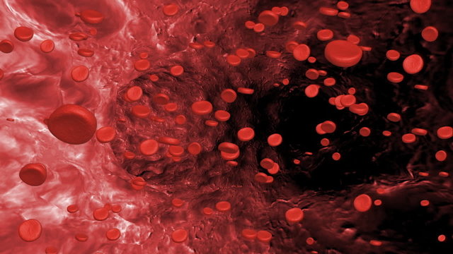 microscopic animated blood cells inside veins