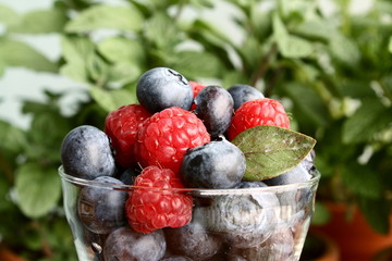 himbeere und heidelbeere / raspberry and blueberry