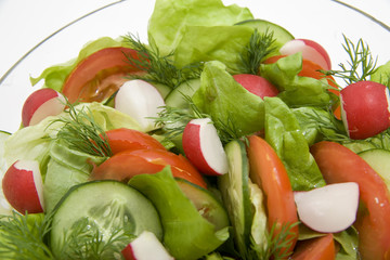 fresh salad