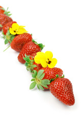 Erdbeeren mit gelben Stiefmütterchen