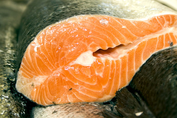 Rows of fresh salmon at the fish market