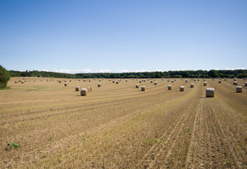 Obraz premium Rundballenacker