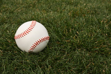 Baseball on the grass