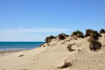 Littoral du Languedoc