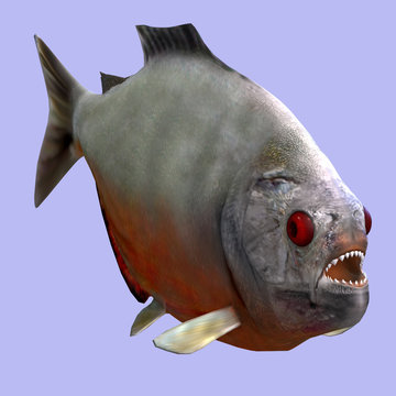 recommend clip art: Piranha