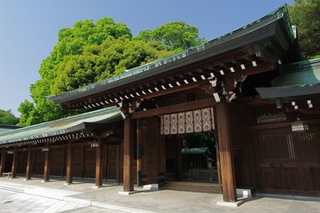 Fototapeta premium Sanktuarium Meiji Shrine